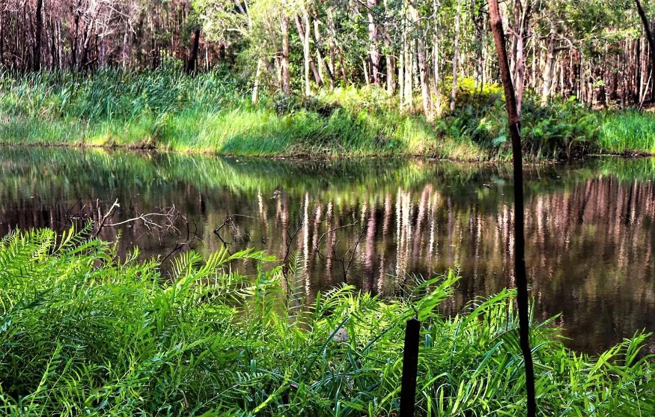 Sunshine Coast Farm Stay Glass House Mountains 0*,  Australia