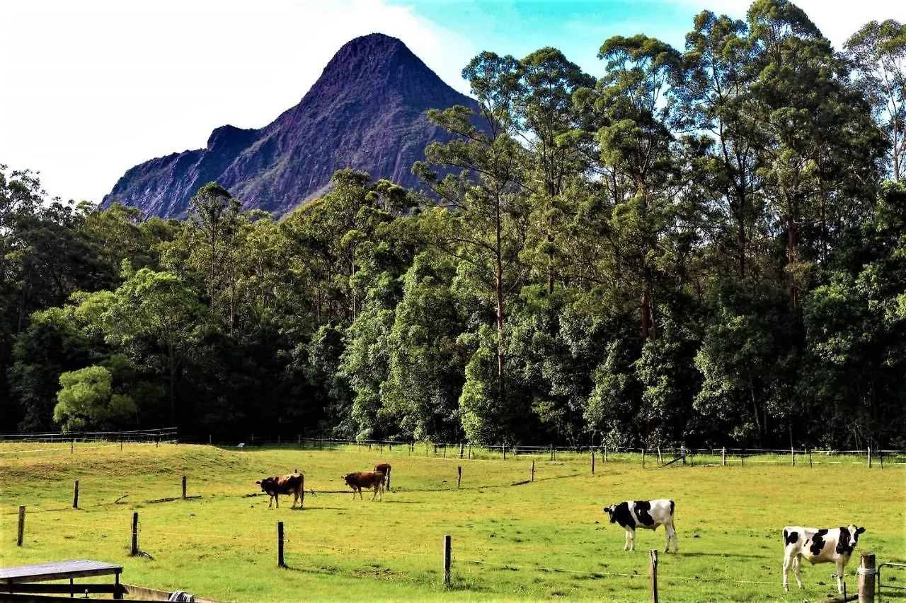 Sunshine Coast Farm Stay Glass House Mountains Australia