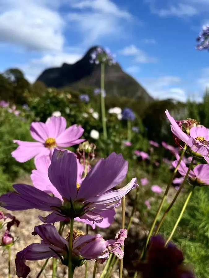 Sunshine Coast Farm Stay Glass House Mountains